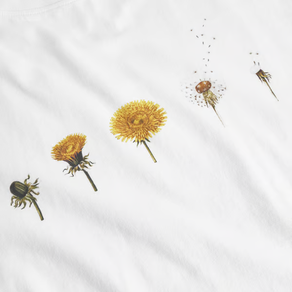 dedicated femme t shirt visby dandelion cycles pissenlits coton bio white blanc l armoire poethique 3