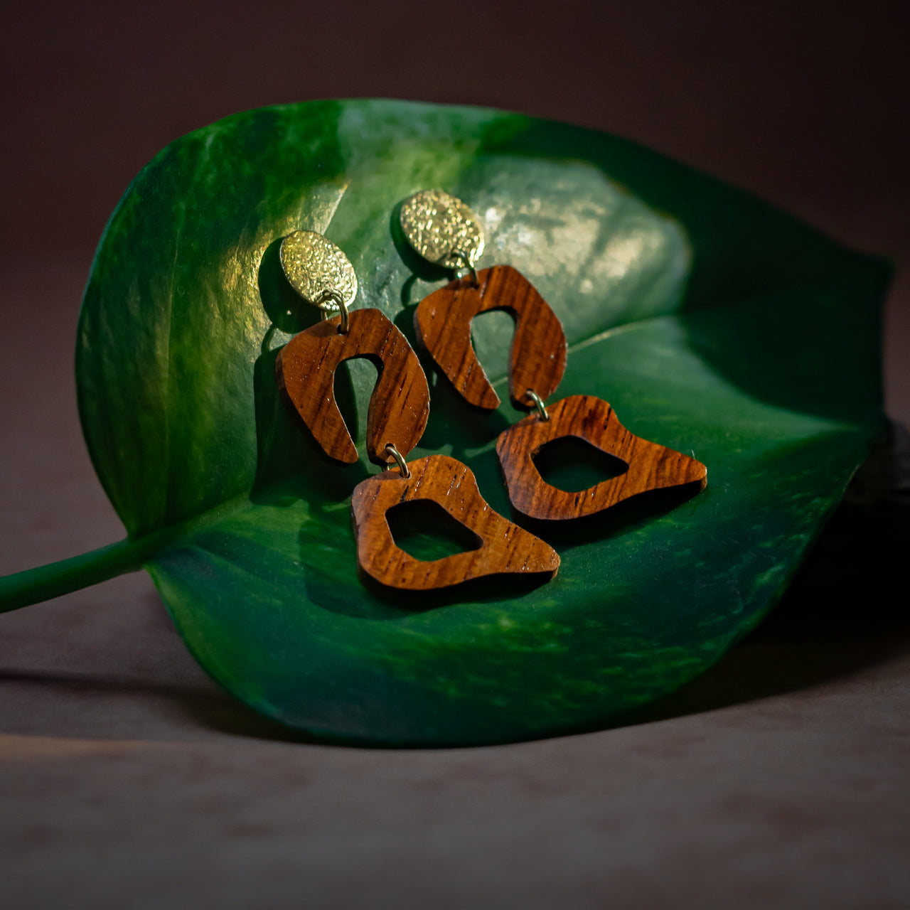 racines femme boucles oreille clous leopard dor   palissandre l armoire poethique  1