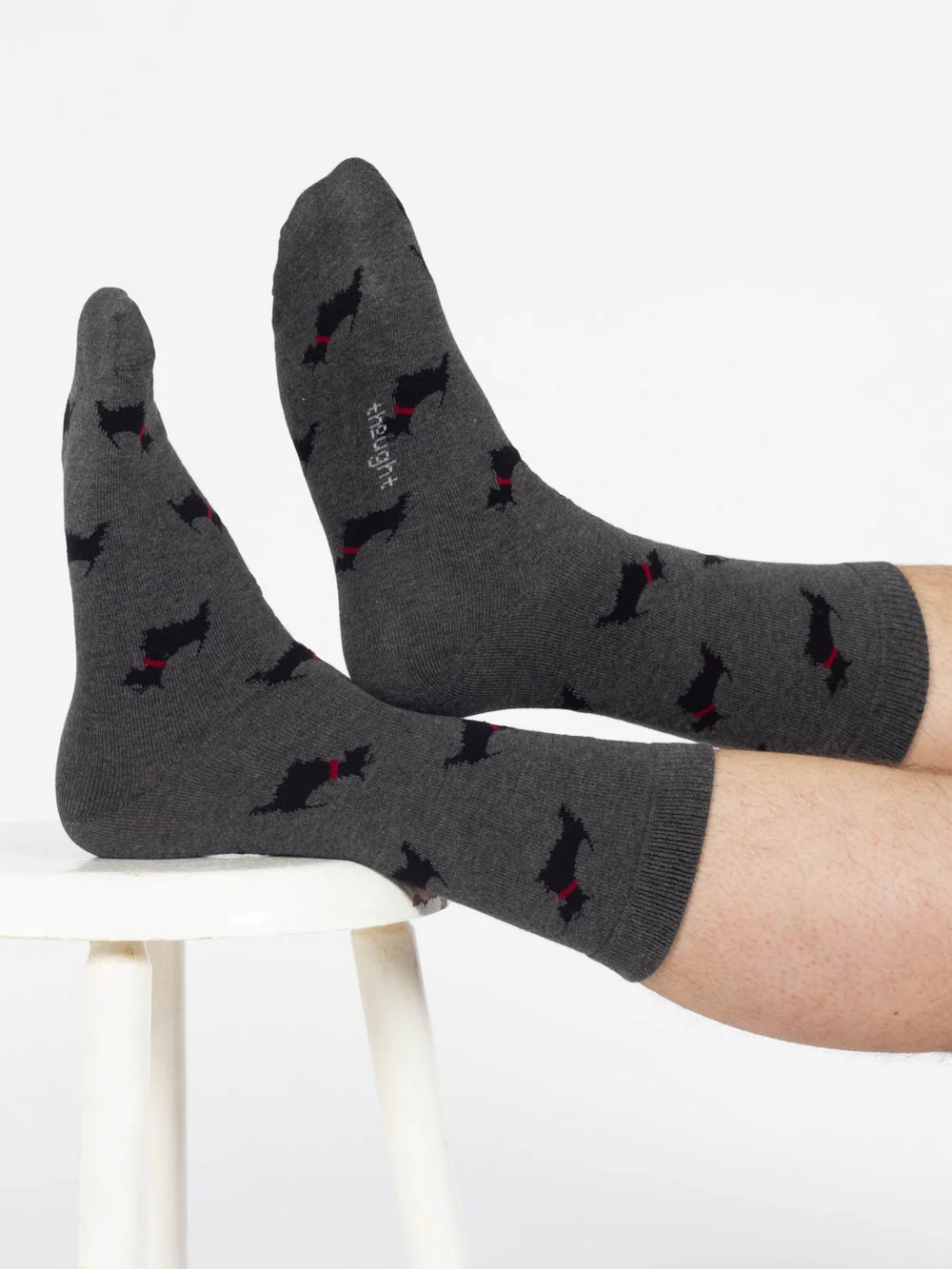 thought homme chaussette doggy scottish terrier gris bambou l armoire poethique 1