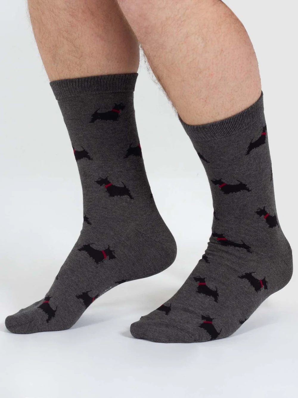 thought homme chaussette doggy scottish terrier gris bambou l armoire poethique 3