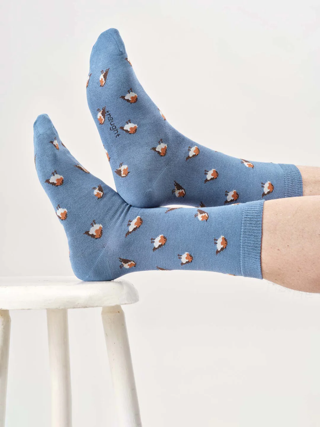 thought homme chaussette robin viscose bambou bleu l armoire poethique 1