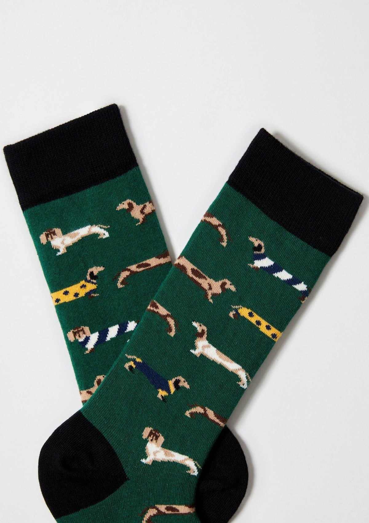 chaussettes en coton bio basset  vert be socks unisexe chaussettes basset coton bio vert l armoire poethique 2