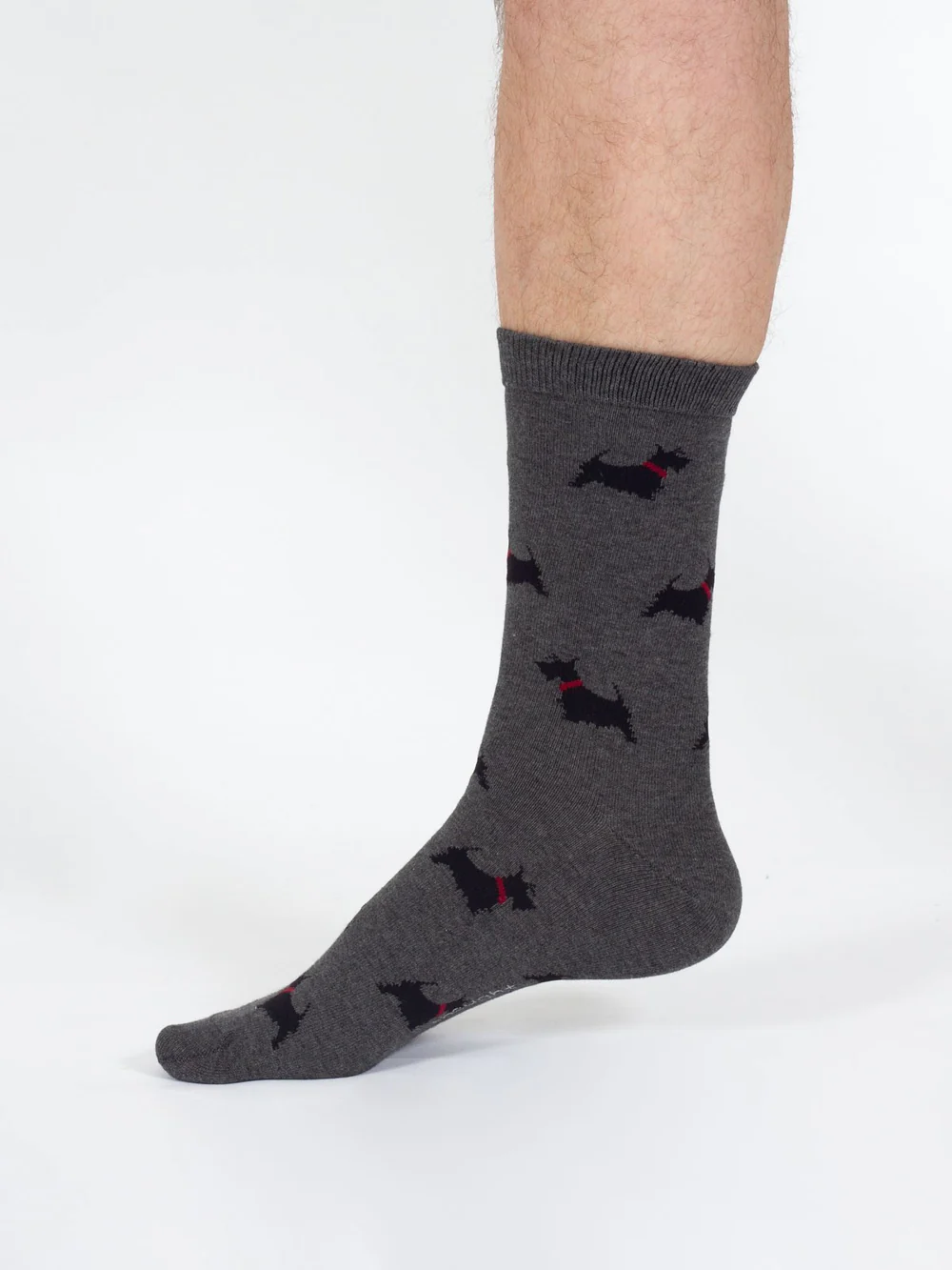 thought homme chaussette doggy scottish terrier gris bambou l armoire poethique  2 